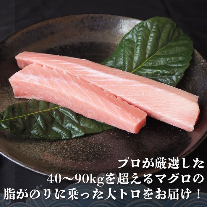 無添加 まぐろ大トロ　６００ｇ 豊洲 お刺身 海鮮丼-3