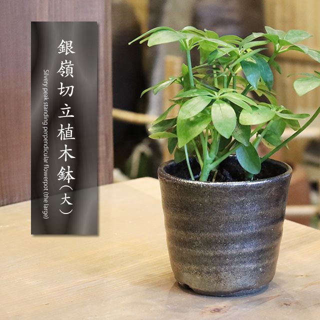 信楽焼 植木鉢 陶器 おしゃれ 山草鉢 フラワーポット サボテン鉢 多肉鉢 プランター 国産 鉢植え 盆栽鉢 山野草鉢 鉢 焼き物 銀嶺シリーズ  銀嶺切立植木鉢（大） sa-0333 - メルカリ