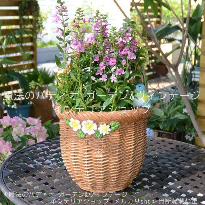 アスティエ ジョンデリアンの鳥のプレート 未使用 アスティエ ジョン