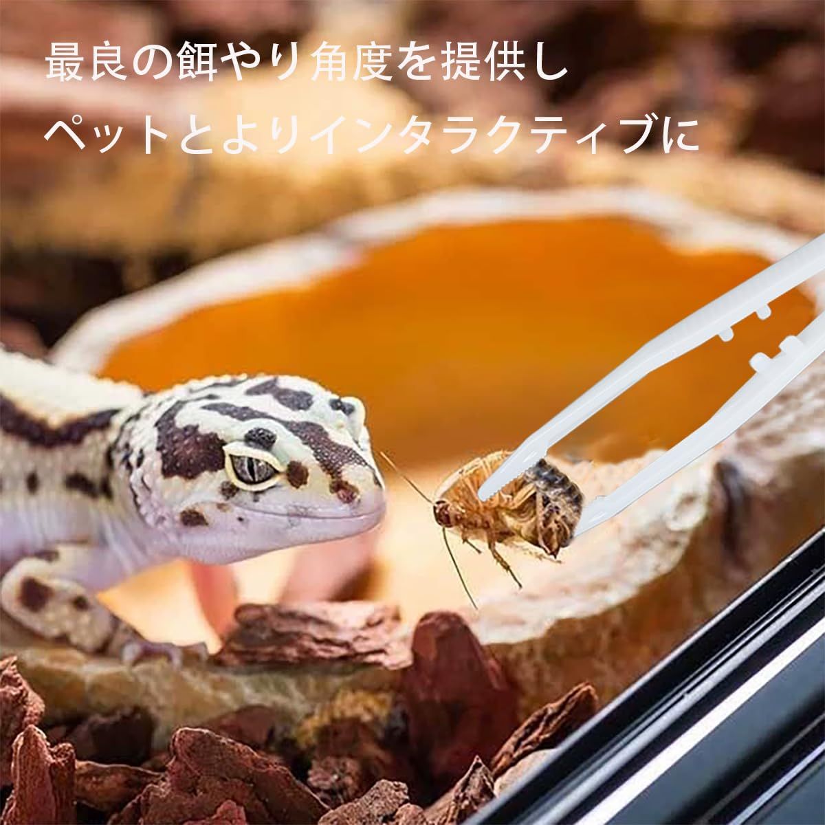 爬虫類・両生類のエサ SS10 S15 新品 蜥蜴 昆虫 両生類安全給餌クリップ カエル セーフティ