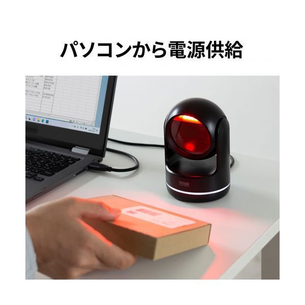 BCR-2D11BK