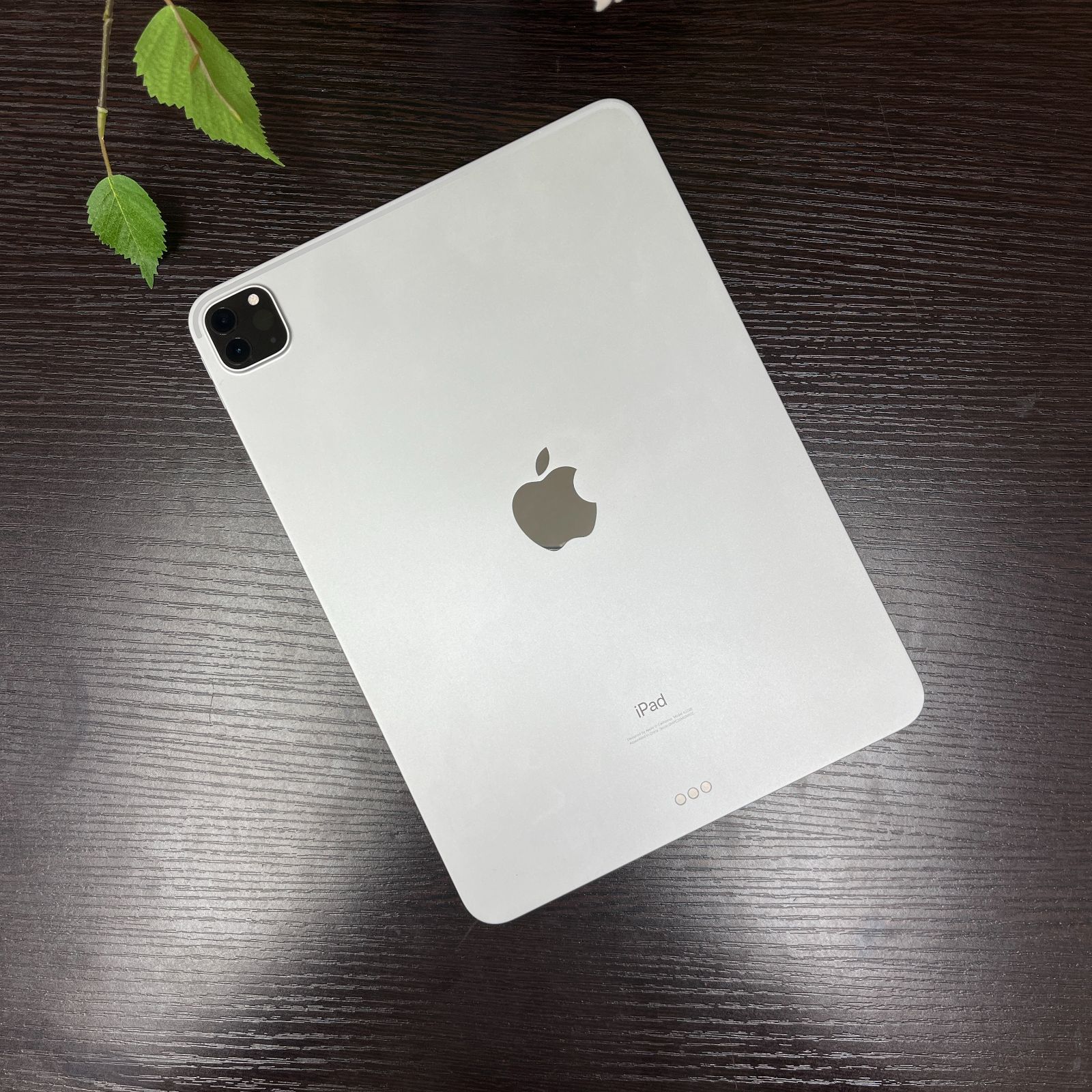 iPad Pro 11インチ 第2世代 256GB Wi-Fiモデル