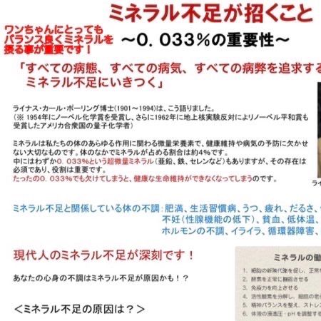 作りたておやつ！パパが作った国産無添加の鶏砂肝のジャーキー（添加物不使用） - メルカリShops