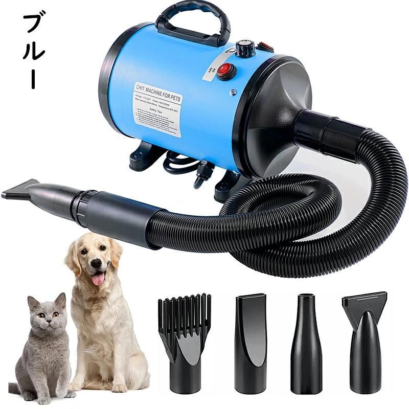 犬