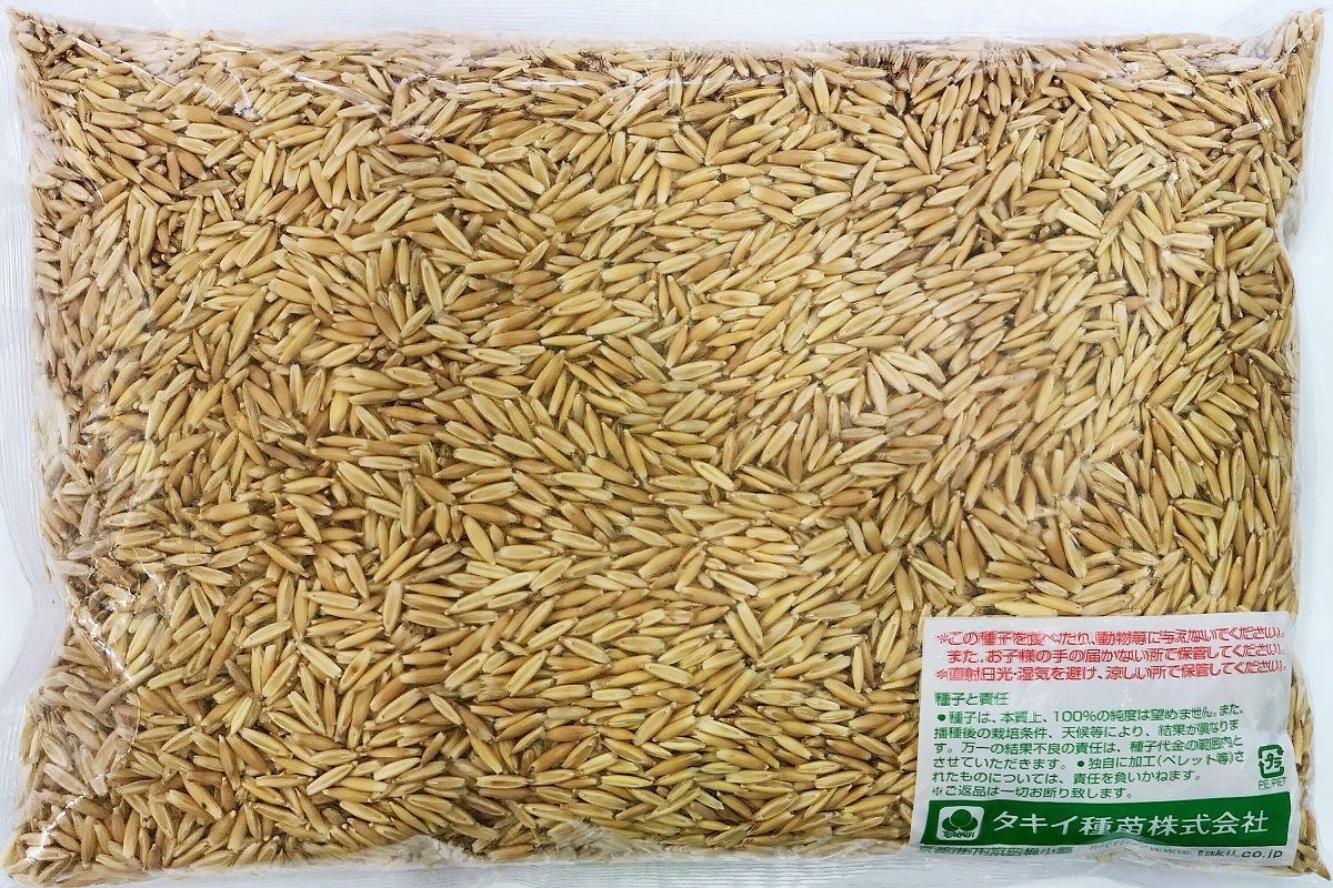種 タキイ種苗