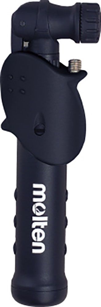 Z会小学生コース エブリスタディスタンダード 小5、小6、適性