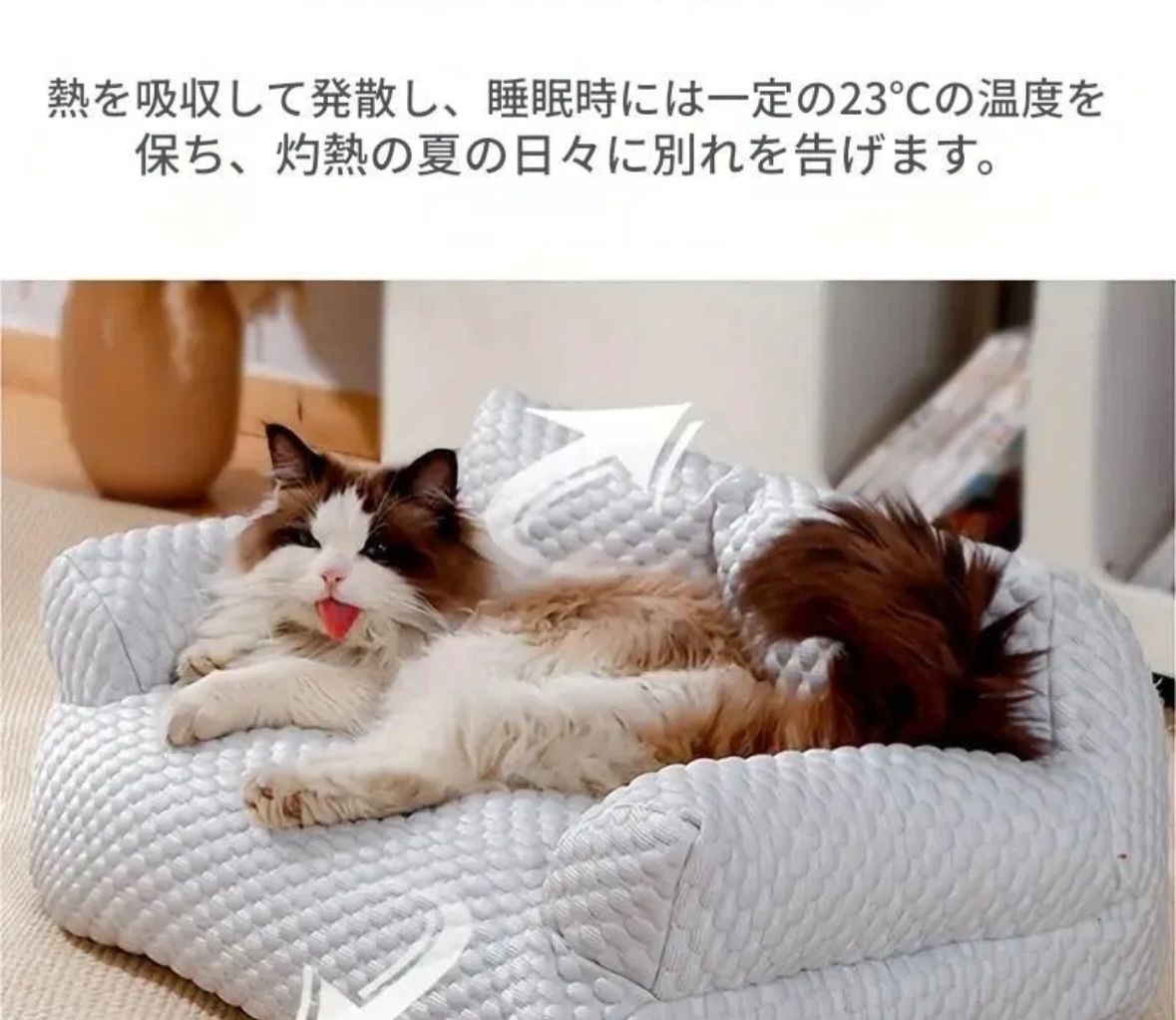 かわいい 涼しい