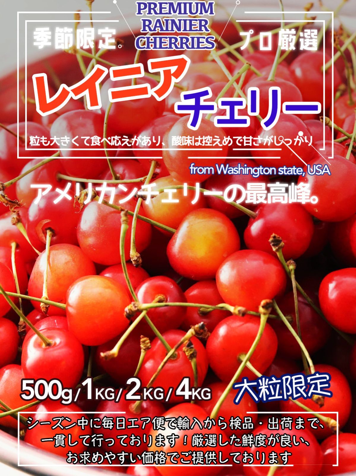約1kg
