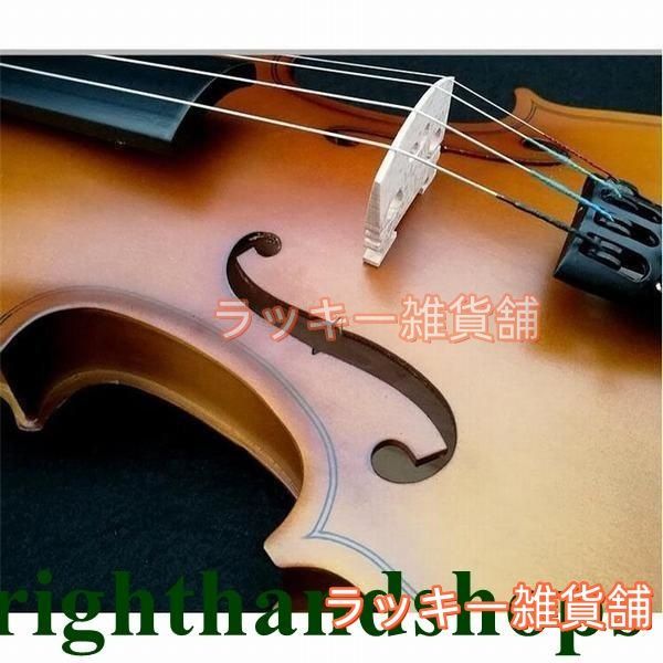 1/10ファーストヴァイオリンにおすすめ2歳〜4歳 新品未使用 Eastman SVL80セット 1/10 バイオリン初心者セット 子ども用