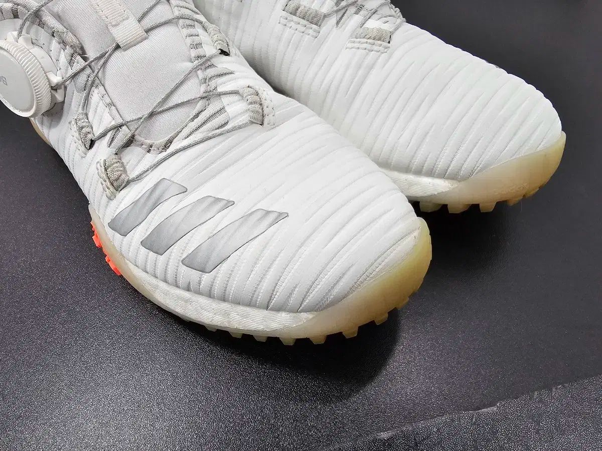 アディダスゴルフ] ゴルフシューズ ウィメンズ ゼッドジー23 ボア