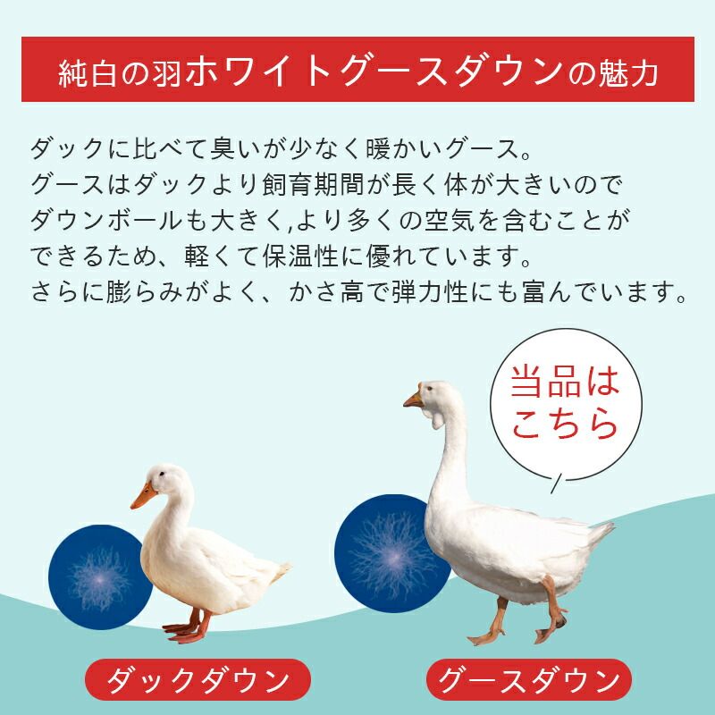 軽量生地