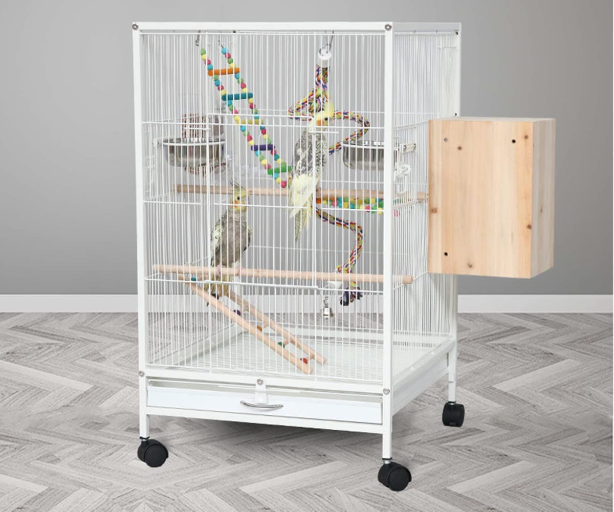 大型 鳥かご バードケージ Amazon | Jiza 鳥かご 鳥 ケージ 大型 インコ ケージ バード