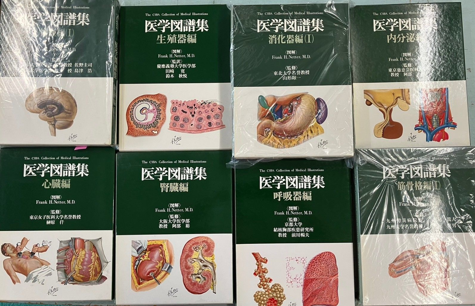 Netter 医学図譜集 計12冊セット 日本チバガイギー 発行 C274上-2