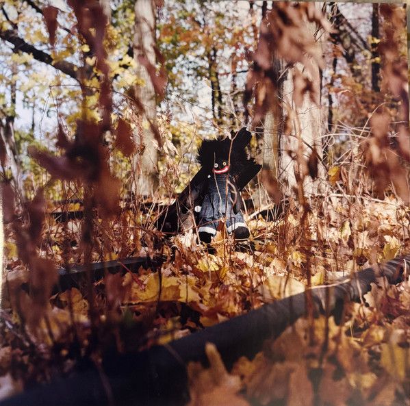 米 加2LP Billy Woods Golliwog BWZ804 Backwoodz Studioz 未開封 |00660