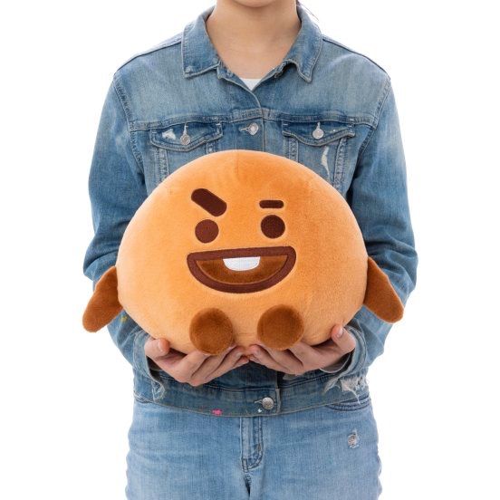 BT21 ぬいぐるみ(フルーツ) Lサイズ SHOOKY シューキー BTS - メルカリ