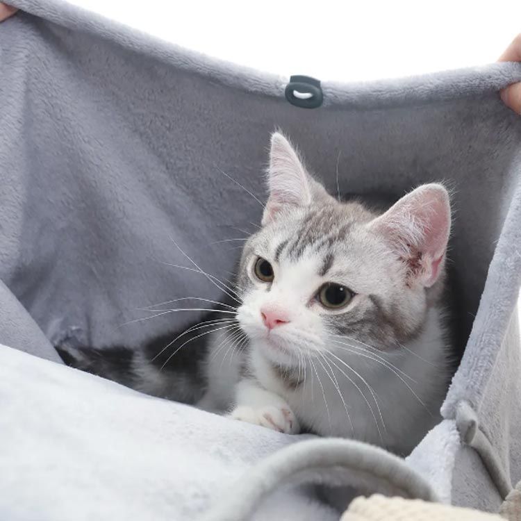 ペット エプロン スリング ふわふわ 抱っこ 小型犬 猫 寝袋 キャリー 抱っこ用エプロン 犬猫用 肩掛け ペット寝袋 抱っこ用