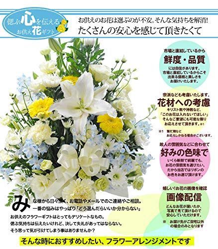 高さ50cm ユリ