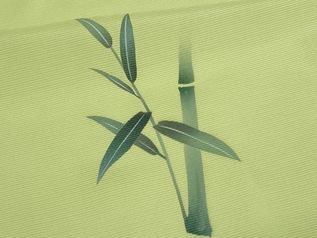 平和屋着物＊夏物 訪問着 絽 笹竹文 洗える着物 DAAU6102sf