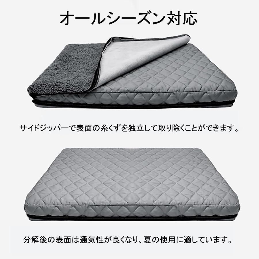 丈夫