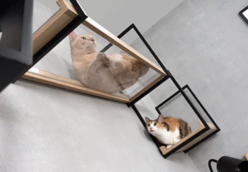 インスタ映え キャットステップ
