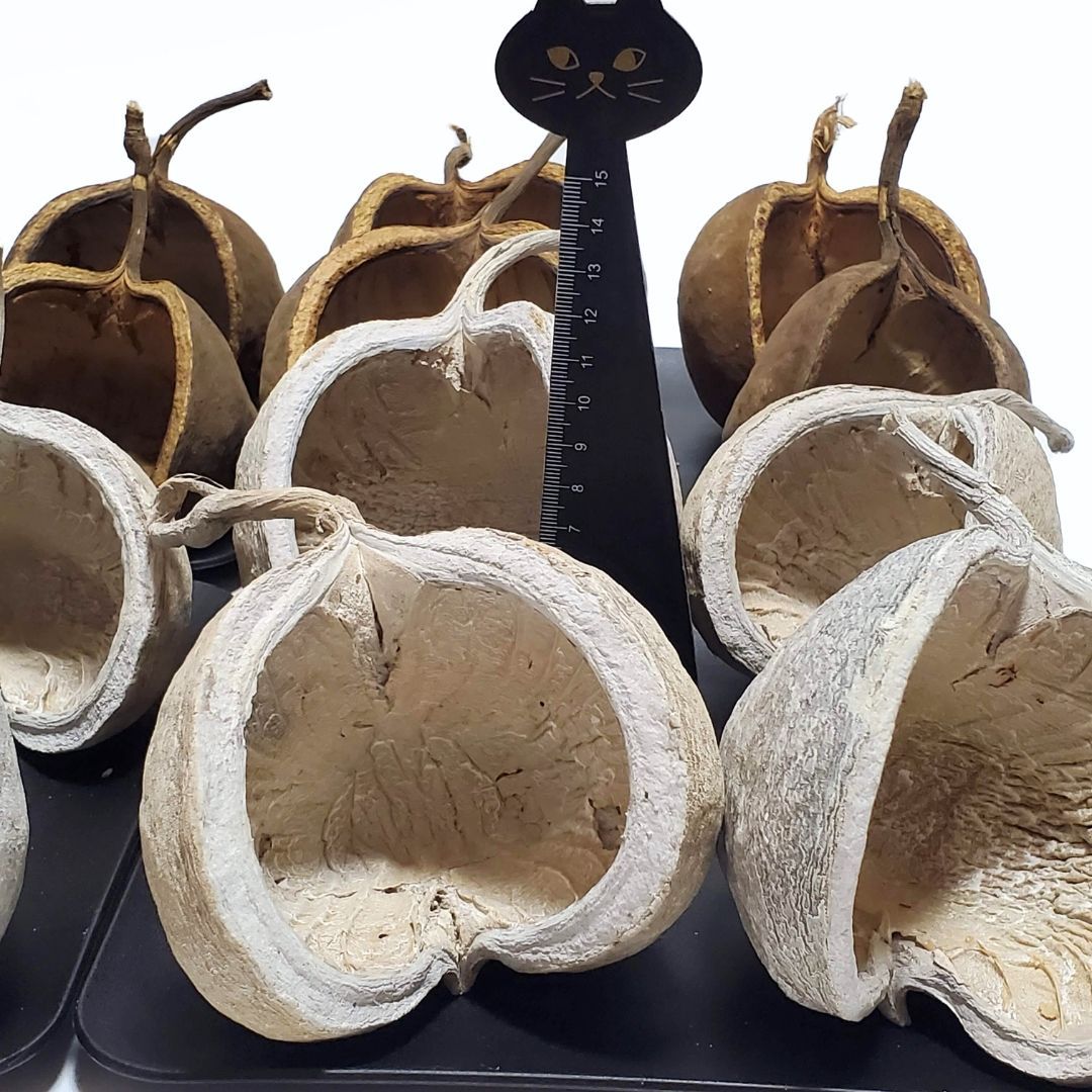 ハンドメイド花材 花材