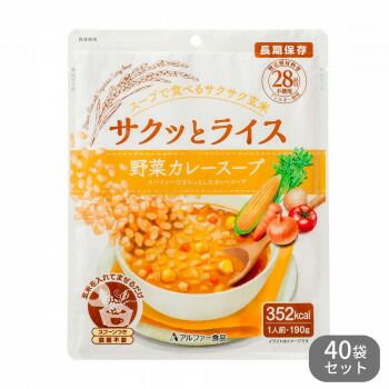 アルファー食品 サクッとライス 野菜カレースープ 190g ×40袋セット 11421638