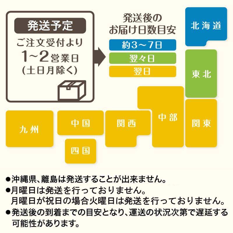 スミサンスイNEWマルチ100-03 200m 水平潅水 マルチ下潅水 灌水チューブ 散水 住化農業資材 - メルカリ