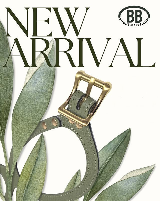 Sage 獣医師推奨