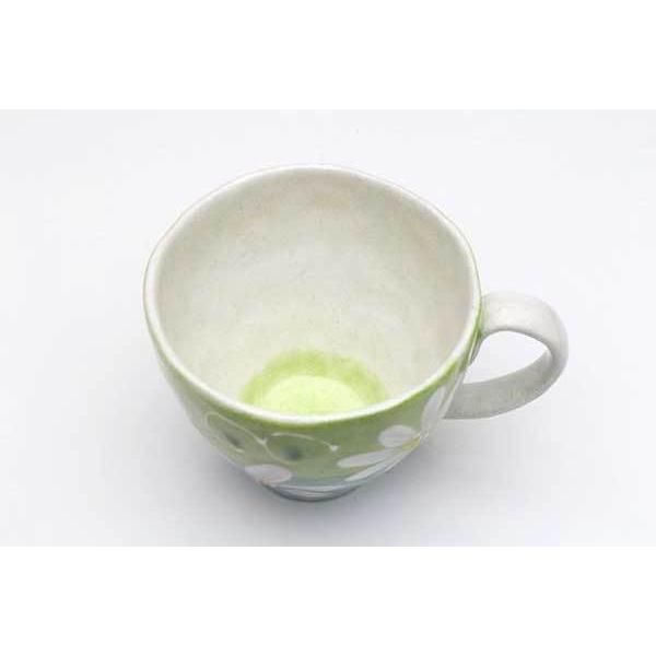 希少 冷蔵チューリップ 原種系『ステラータ』1球 地植えも水耕でも