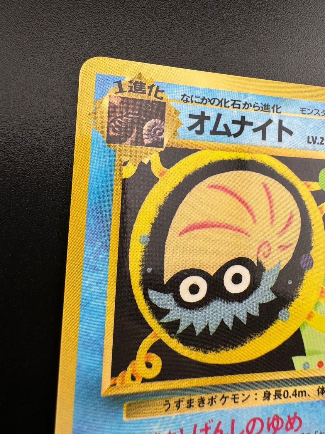 中古】オムナイト LV.20 ポケモンカードゲーム 旧裏面 ◇ 水 拡張