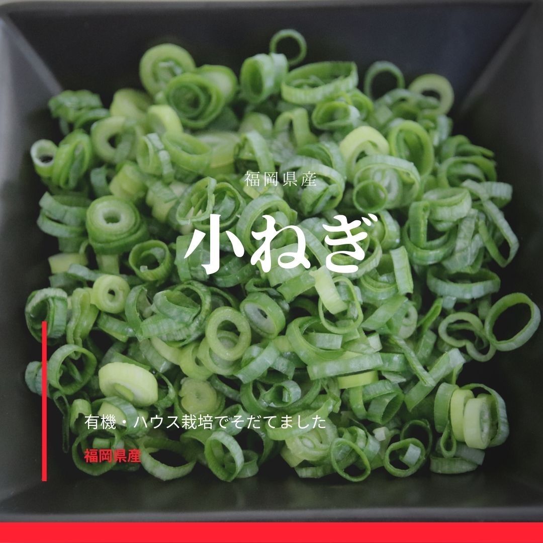 購入 Kinako様専用 MEZZ メッズEC7 ビリヤードキュー バットのみ