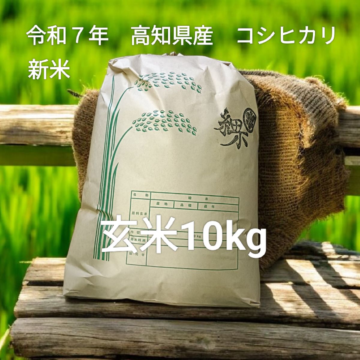 食品 新米 令和7年 高知県産 コシヒカリ100% 玄米10kg