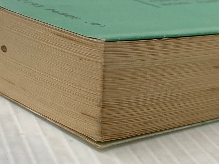 イタミ有 田沼意次