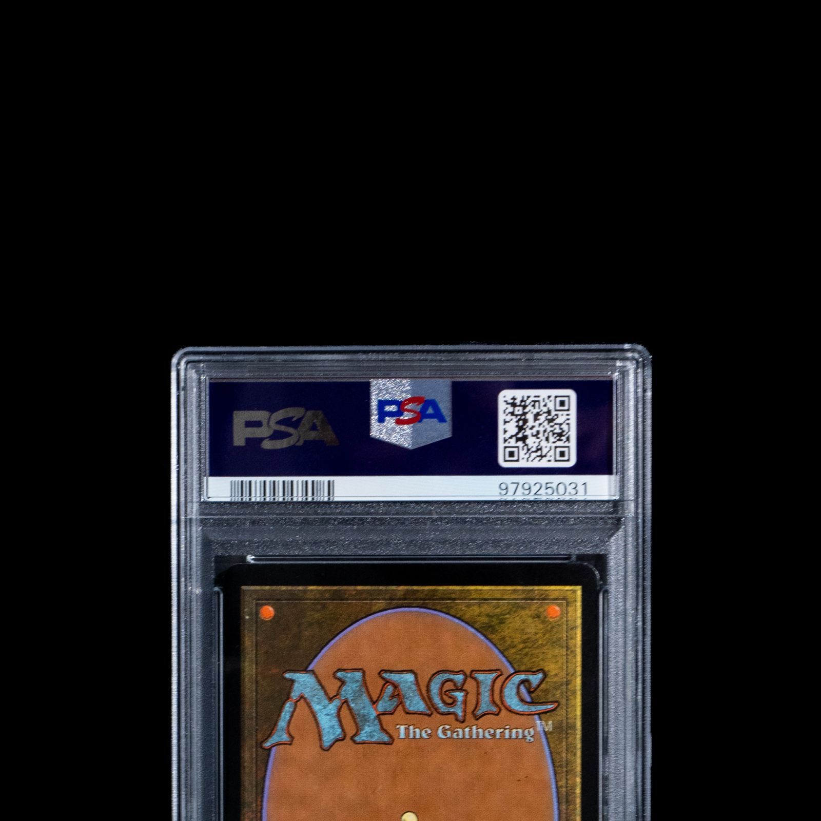 【値下げ】PSA10 / MTG PLAINS （平地）鑑定枚数世界1枚 値下げ】PSA10 / MTG PLAINS （平地）鑑定枚数世界1枚 値下げ