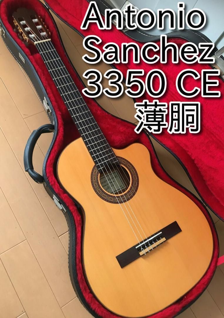 美品・希少】Antonio Sanchez 3350 スペイン製 エレガット - 楽器/器材