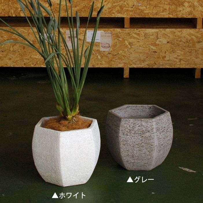プランター 鉢カバー プランターカバー おしゃれ ナチュラル グレー ホワイト モダン プランター鉢 六面体 六角 ディスプレイ シンプル 鉢 モダン テラコッタ ガーデニング シャビー ガーデン雑貨 8号鉢用