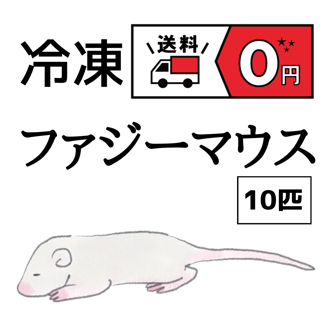 無料発送 国産 冷凍マウス ファジーL 100匹