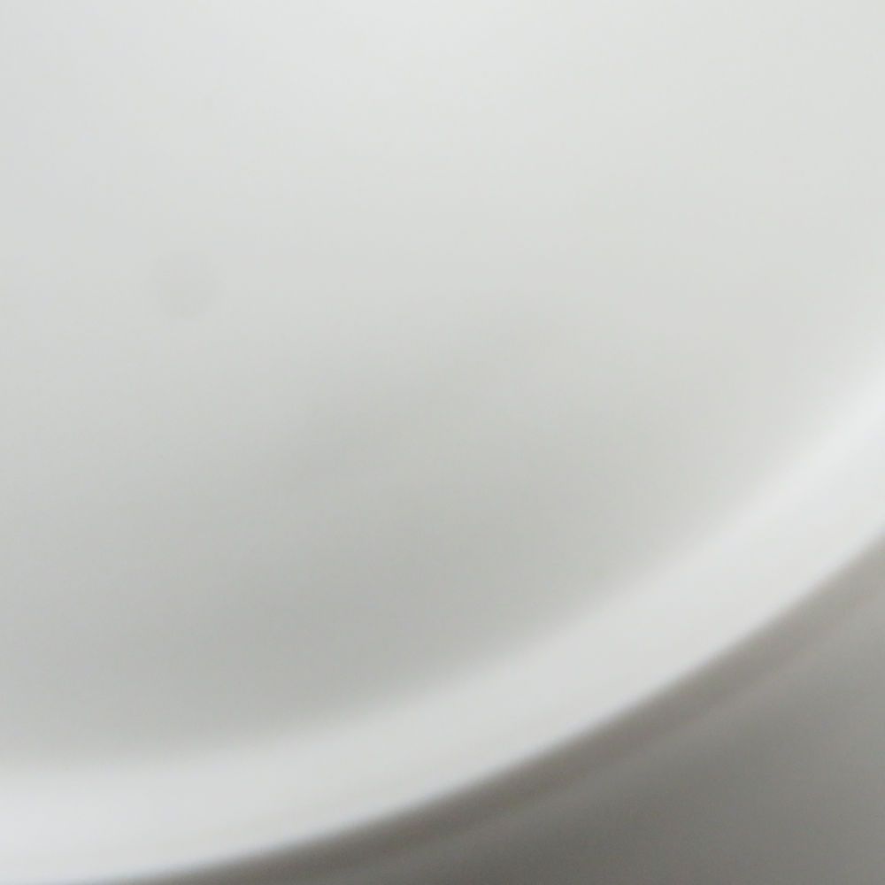 中皿 22cmプレート