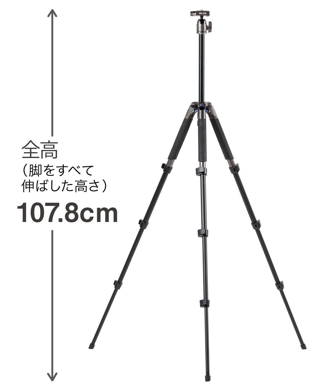 S110 BH
