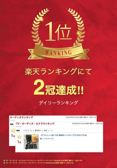 FIIO 開放型ヘッドホン