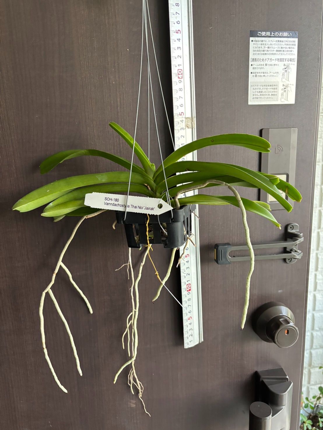 3点