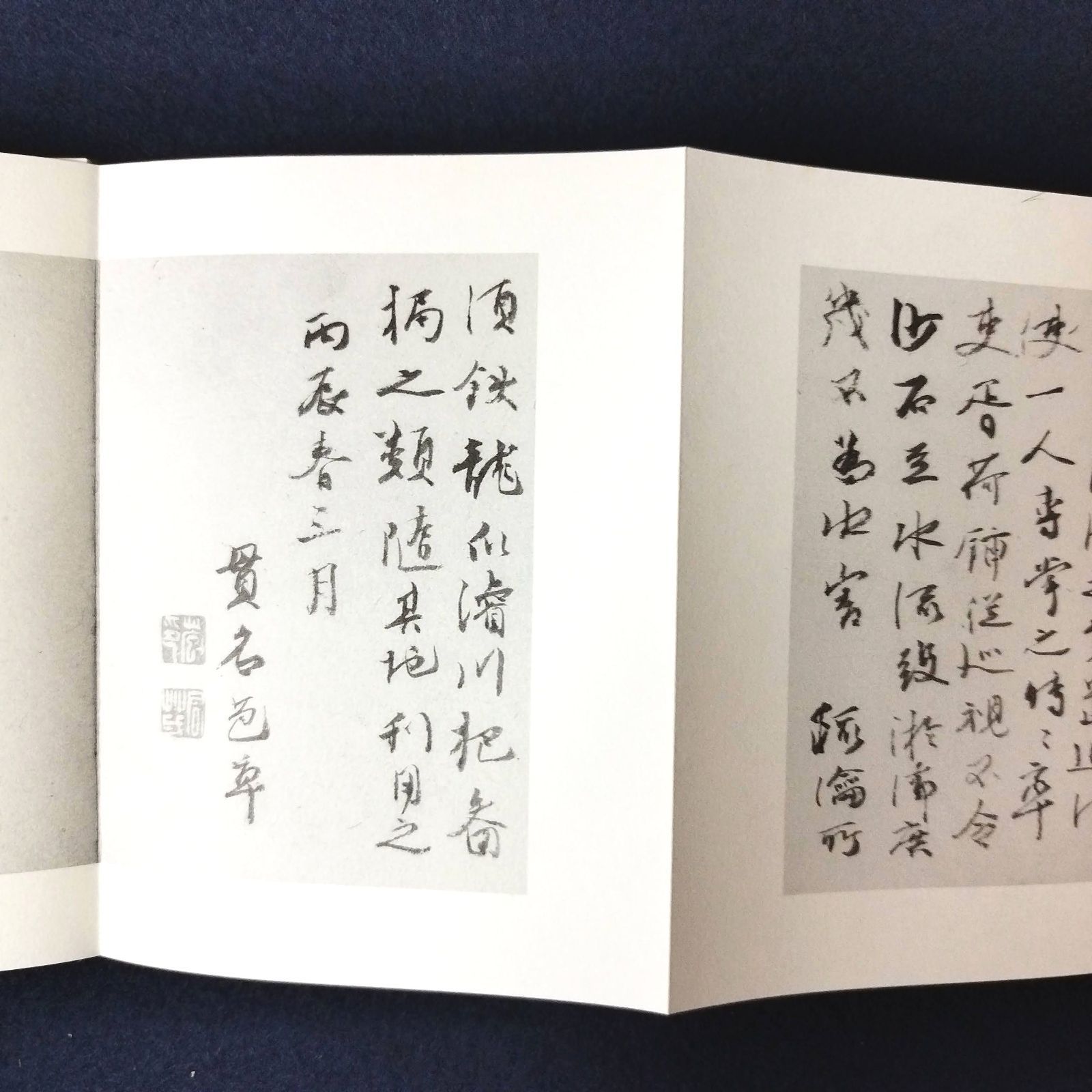 日本書道◆私擬治河議◆ 貫名菘翁書 細字行書の傑作 天来書院 折帖 函付き 昭和レトロ 当時物 資料 アンティーク コレクション 古本 骨董 古美術  和本 古書