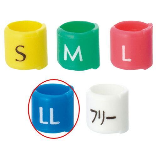 単旋律 聴音100 有馬礼子 2025年最新】Yahoo!オークション -礼子(音楽