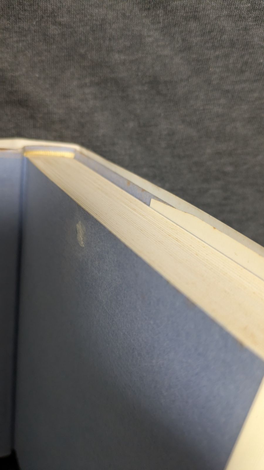 学校幻想とカリキュラム 536768558_large.jpg