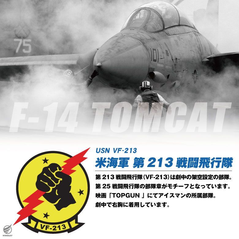 Top Gun Tsm Model Vf-1 Vf-213 | eBay