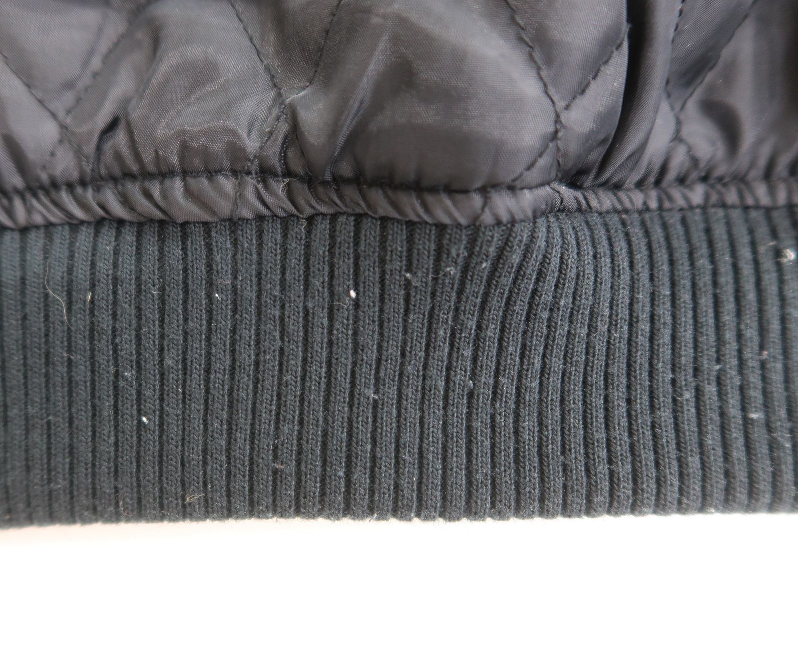 TOWN ドッグタウン