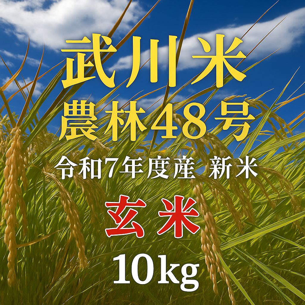 武川米 農林48号 10kg 玄米 新米 令和7年度産山梨県北杜市武川町産 農家直送 お米 10キロ