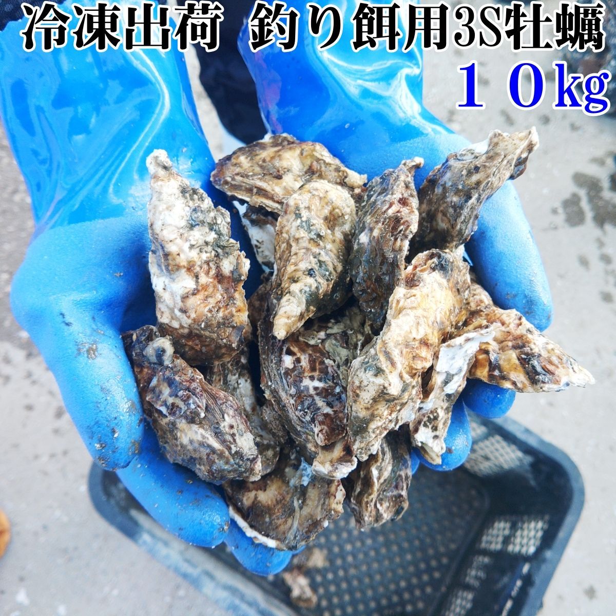冷凍カメノテ10kg  石鯛　黒鯛　コブダイ　釣り餌 冷凍カメノテ10kg 石鯛 黒鯛 コブダイ 釣り餌の通販 by まっちの