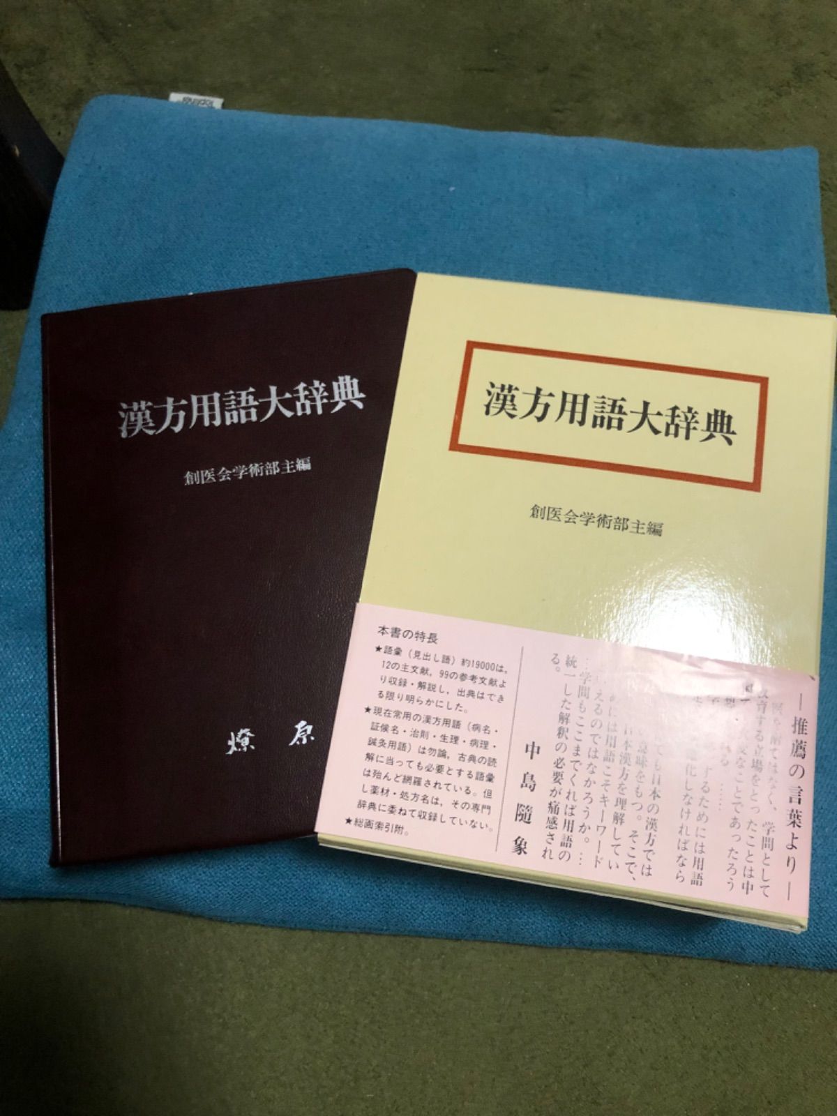 漢方◐東洋医学◐鍼灸】漢方用語大辞典 創医会学術部 - 健康/医学