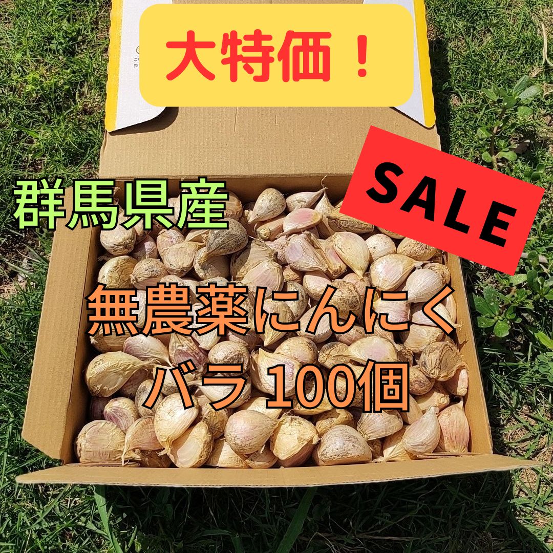 群馬県産 にんにく バラ100個 訳あり大特価 - 株式会社 ベジタプラザ - メルカリ